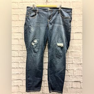 Women’s Torrid Premium Jeans